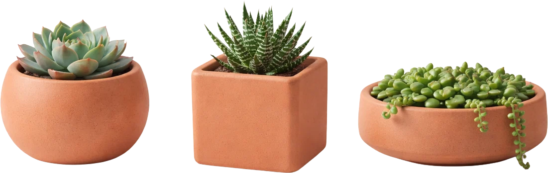 Planters — 1